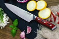  KATFINGER | Damaškový nůž šéfkuchaře 8" | červený  |  foto Kristýna Grygarová 